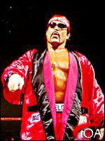 Wcw Halloween Havoc 1994